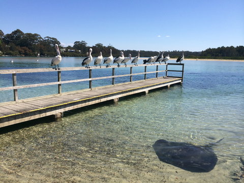 Kayaking Tomaga River - Stayed 2