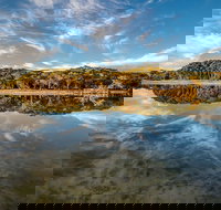 Lashmar Conservation Park - Stayed