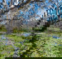 Macquarie Valley Trails - Stayed