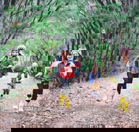 Margaret River Rails Trail - Stayed