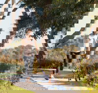 Meningie Walking and Cycling Trails - Stayed