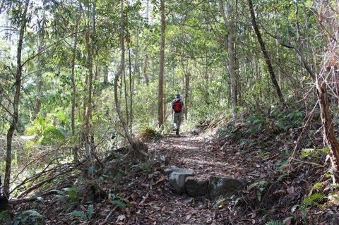 Morelia Walking Track, D'Aguilar National Park - Stayed 1