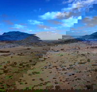 Mount Ramsay and Baralaba Loop - Stayed