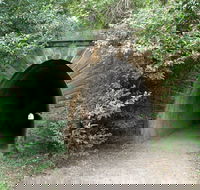 Mushroom Tunnel - Stayed