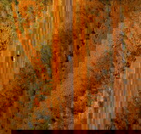 Newcastle Waters - Stayed