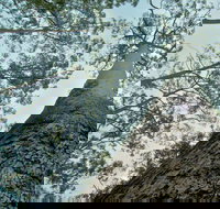 O'Sullivans Gap Picnic Area - Stayed