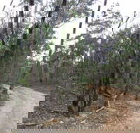 Paddys Ranges State Park - Stayed