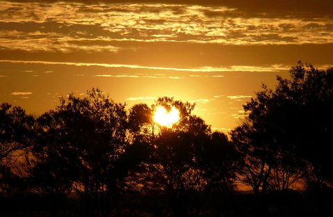 Paroo-Darling National Park - Stayed 0