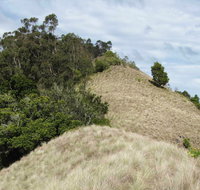 Pieries Peak Walking Track - Stayed