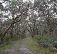Pink Line and Loop Trail - Mountain Biking - Stayed