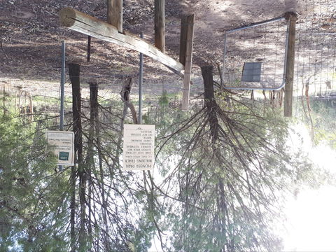 Pioneer Park - Stayed 1