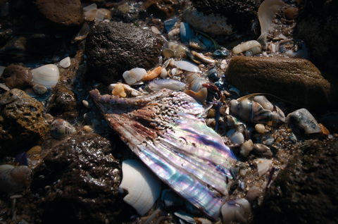 Point Cook Marine Sanctuary - Stayed 1