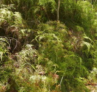 Powder Magazine walking track