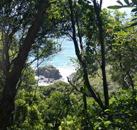 Rainforest Walking Track Hat Head National Park