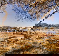 Rennix walking track - Stayed