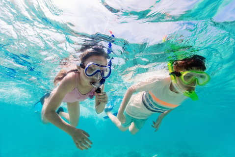 Snorkel Hat Head Creek - Stayed 0