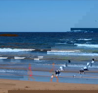 Surf Beach Batemans Bay - Stayed