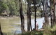 The Murrumbidgee River - thumb 0