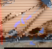 The Story Bank - Stayed