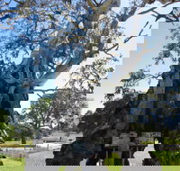 The Herbig Family Tree - Stayed