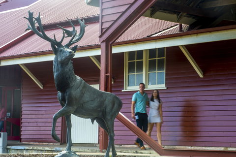 Toogoolawah - Stayed 1