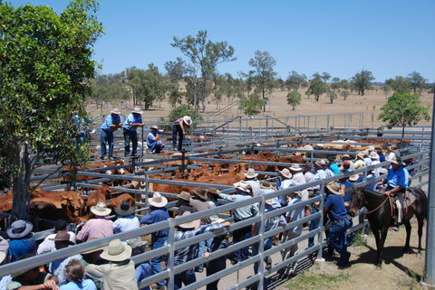 Toogoolawah - Stayed 2