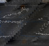 Treelines Track - Stayed