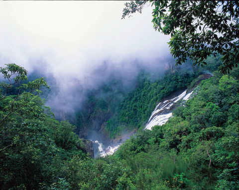 Tully Falls And Tully Gorge - Stayed 0