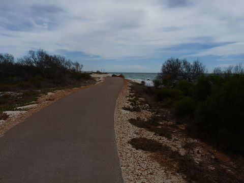 Turquoise Way Trail, Jurien Bay - Stayed 0