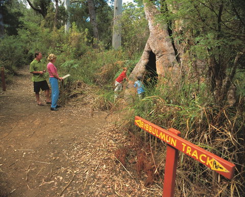 Walpole-Nornalup National Park - Stayed 1