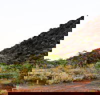 Whyalla Conservation Park - Stayed