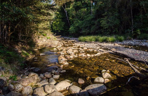 Wilson River Picnic Area - Stayed 0