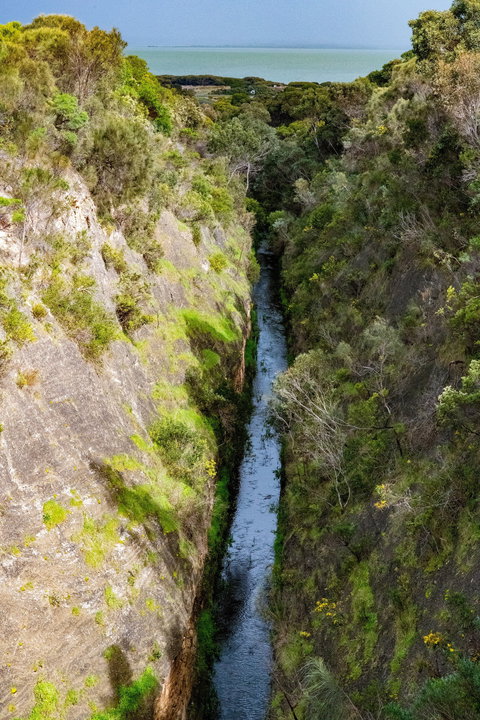 Woakwine Cutting - Stayed 0