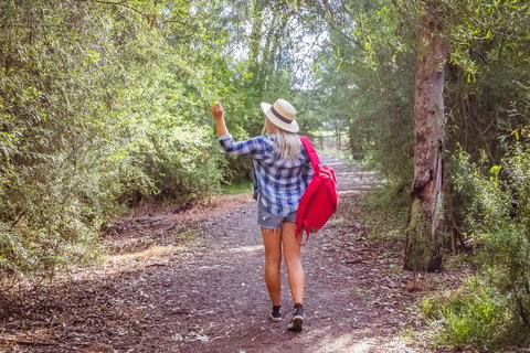 Yea Wetlands Walk - Stayed 2