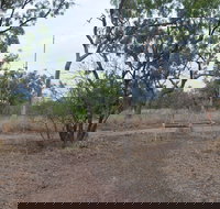 Alexander Forest Memorial - Stayed