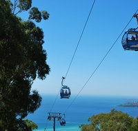 Arthurs Seat Eagle - Stayed