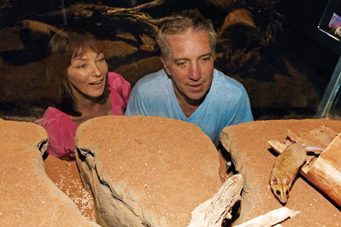 At The Creek Visitor Information Centre - Stayed 0