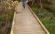 Balcombe Creek Estuary Boardwalk - thumb 0