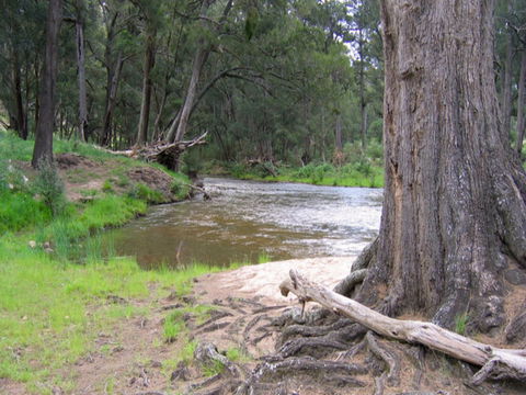 Bangadilly National Park - Stayed 0