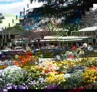 Bathurst Court House - Stayed