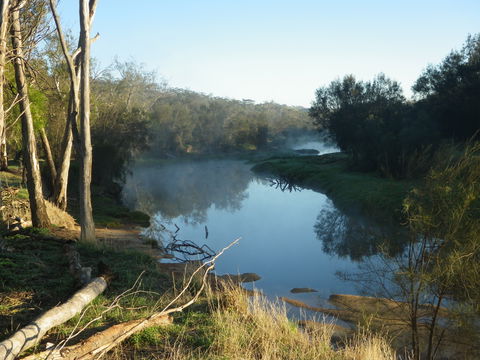 Bilya Walk Track - Stayed 0