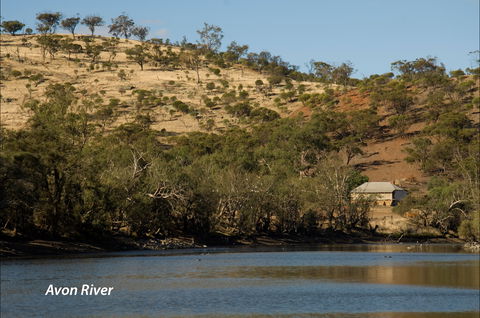 Bilya Walk Track - Stayed 2