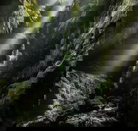 Blue Mountains Heritage Centre and Virtual Reality Experience - Stayed