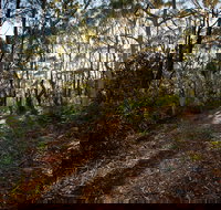 Booderee National Park Munyunga Waraga Dhugan Walking Trail - Stayed