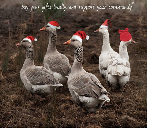 Bream Creek Farmers Market - Stayed 1