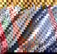 Bruce's Mensland - Stayed