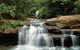Buderim - thumb 1