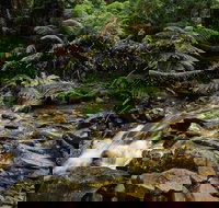 Budderoo National Park - Stayed