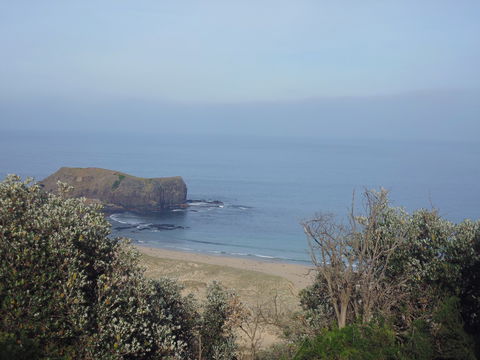 Bushrangers Bay - Stays Accommodation 0