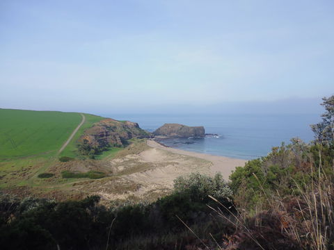 Bushrangers Bay - Stays Accommodation 1